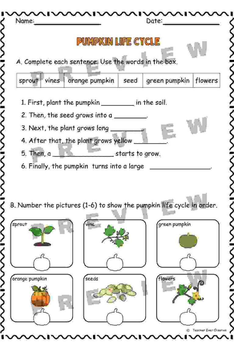 Pumpkin Life Cycle Worksheets