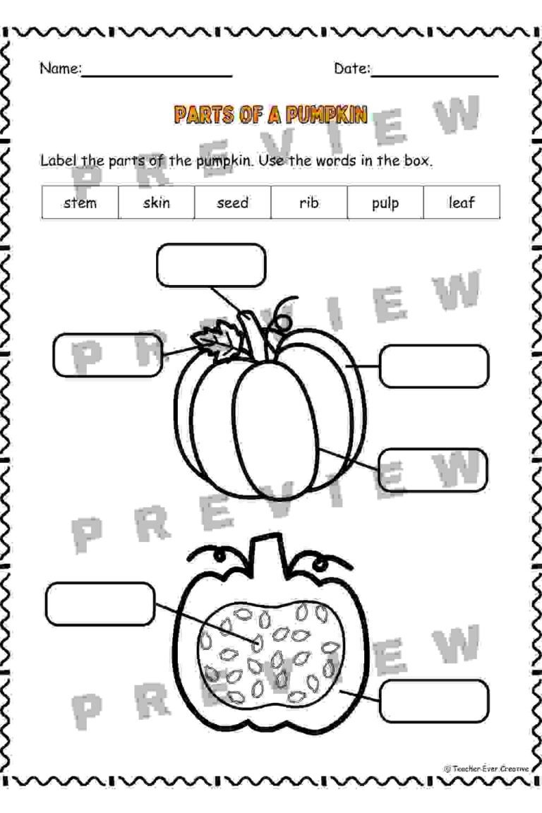 Parts of a Pumpkin Worksheets