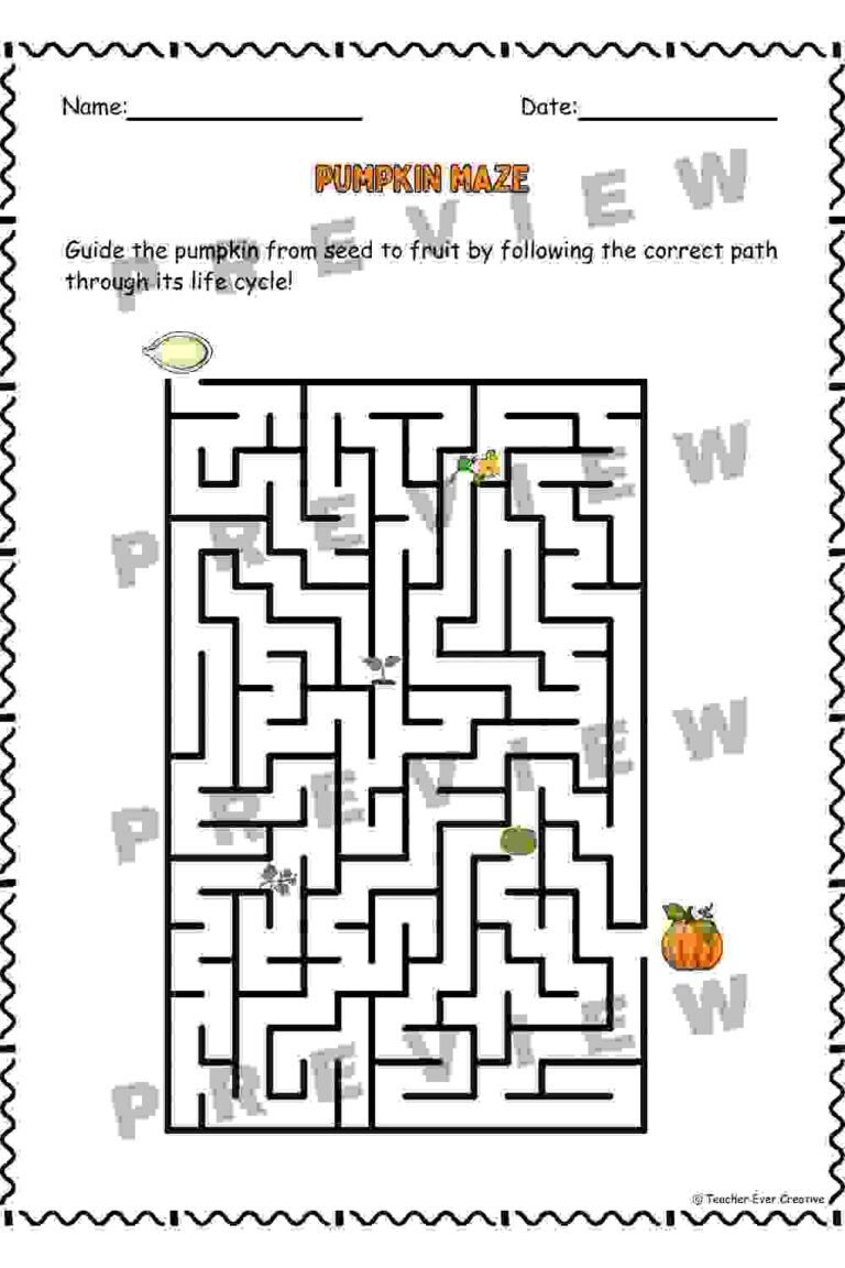 Pumpkin Life Cycle Maze Challenge