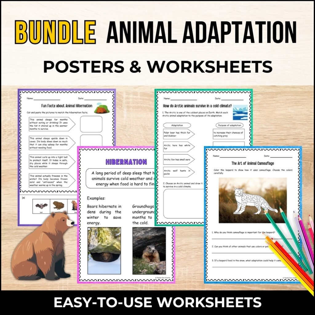 bundle animal adaptation