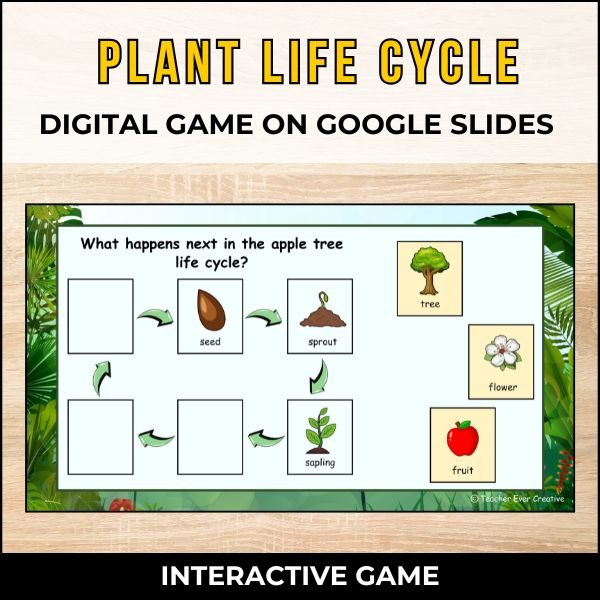 Apple tree life cycle on google slides