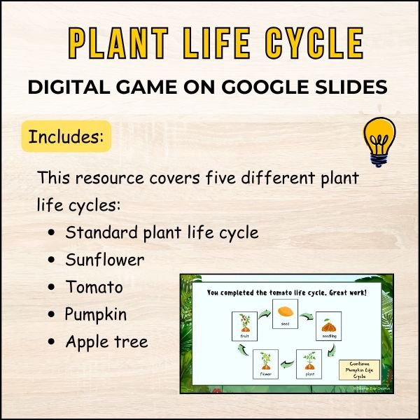 Spring digital learning
