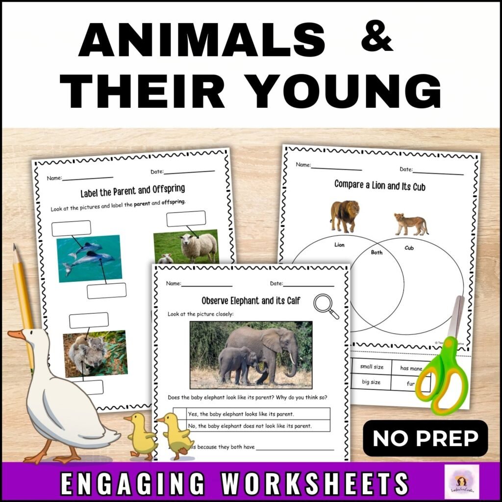 animals and their young worksheets