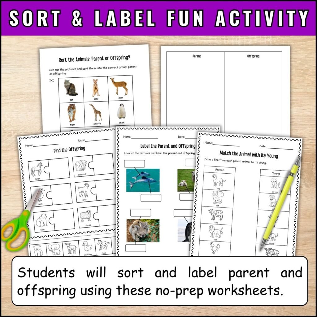 sort and label animals and their babies
