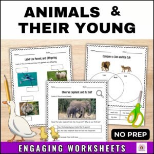 animals and their young worksheets