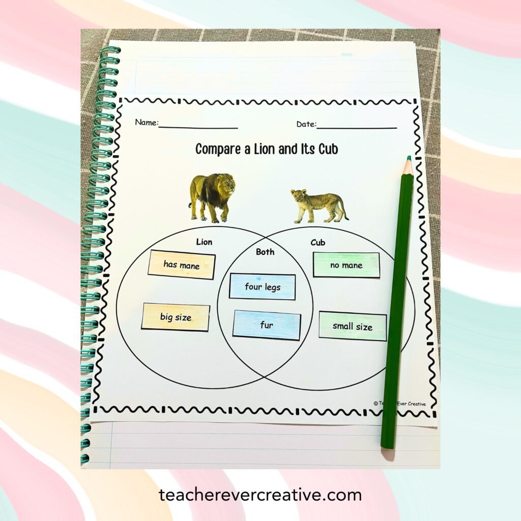 sorting animals and their babies on venn diagram
