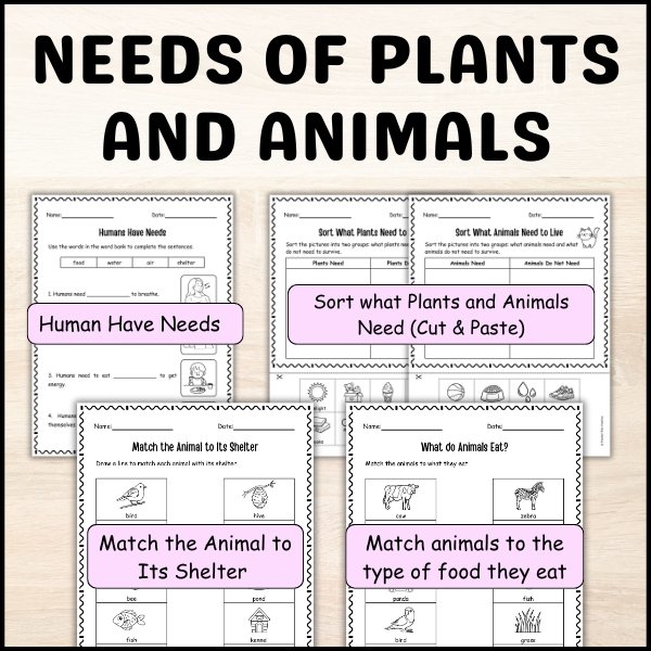 Worksheets for needs of plants and animals