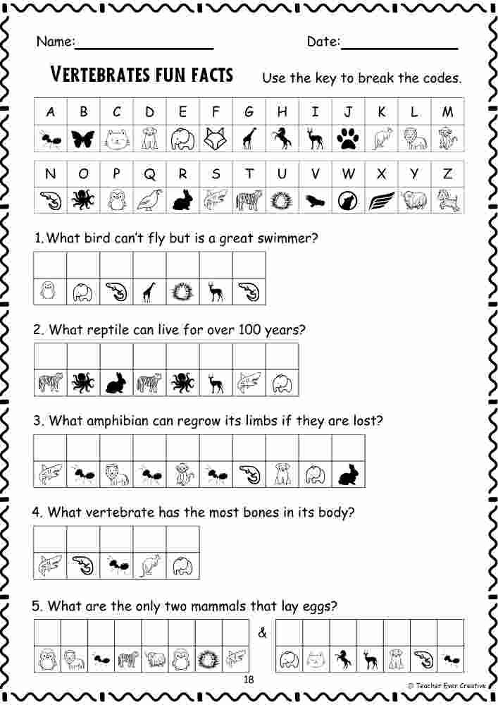 vertebrates code breaker fun facts