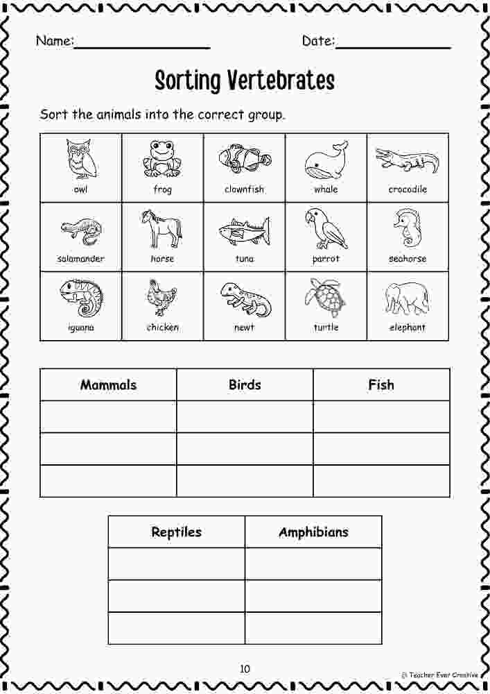 sorting vertebrates and invertebrates