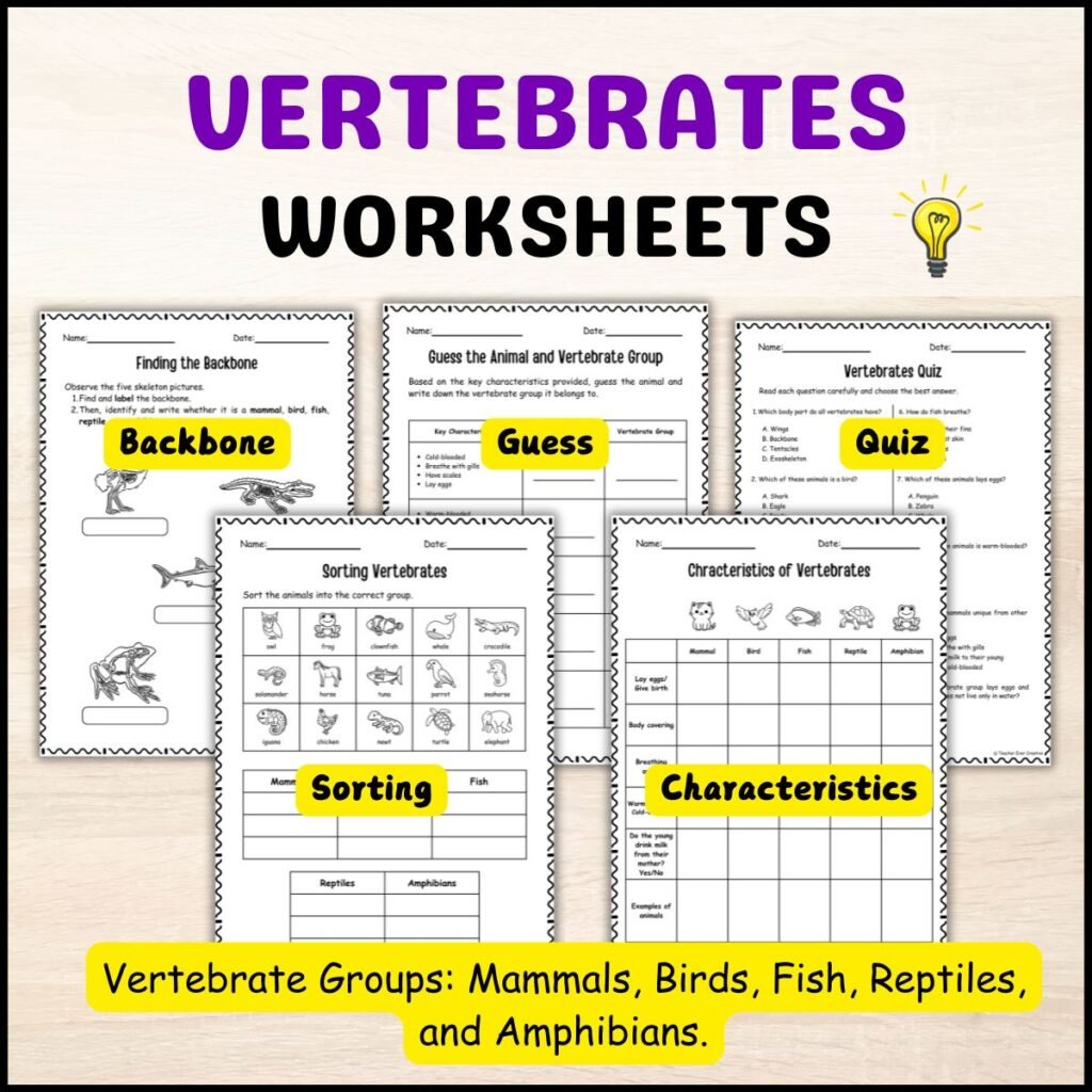 vertebrates worksheets