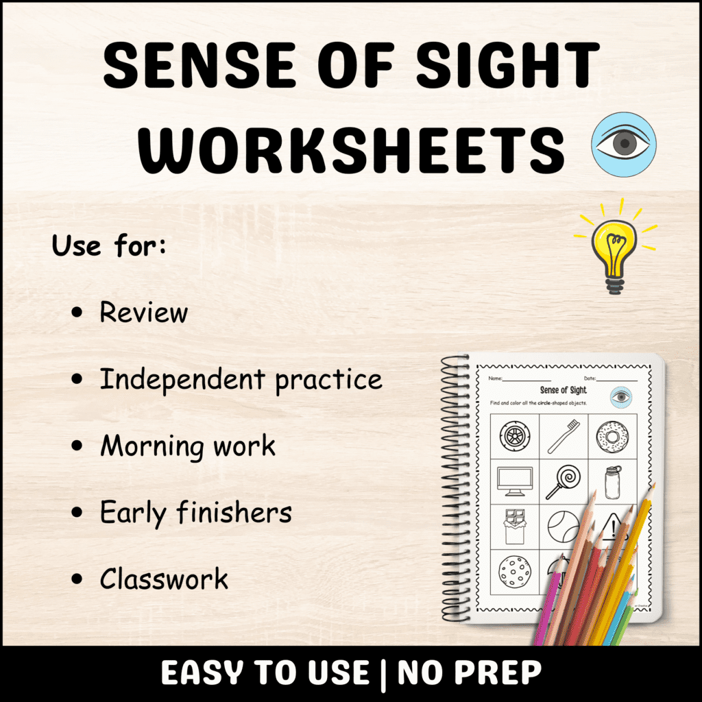 Sense of Sight Worksheets