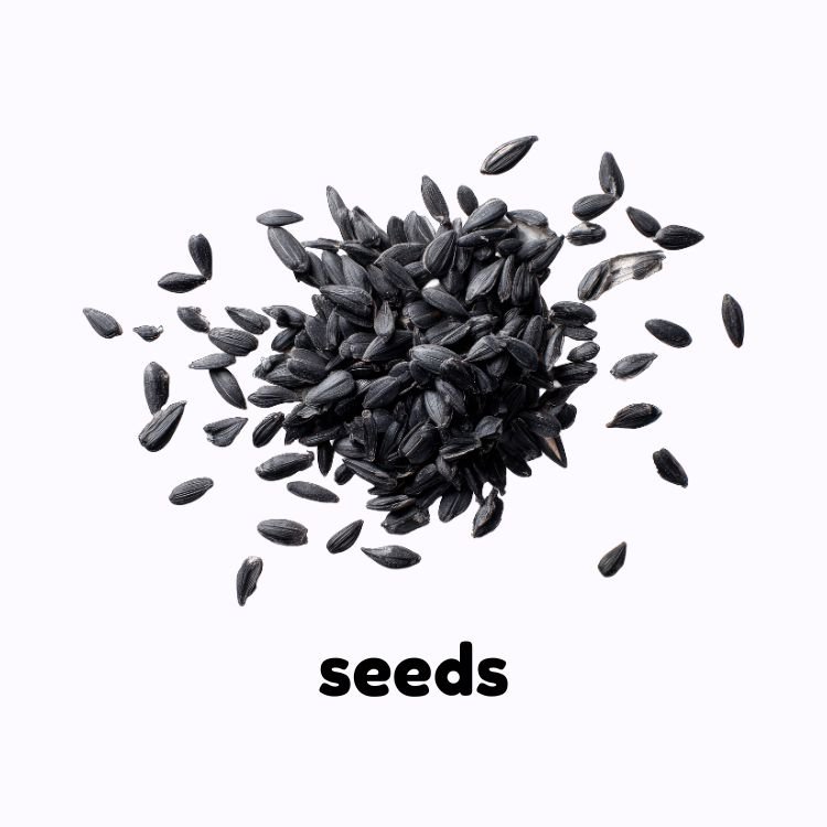 sunflower seed