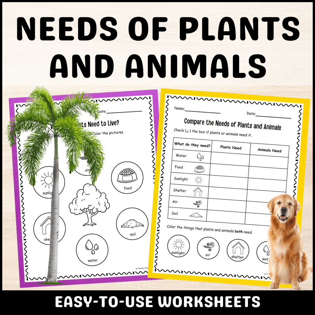 needs of plants and animals