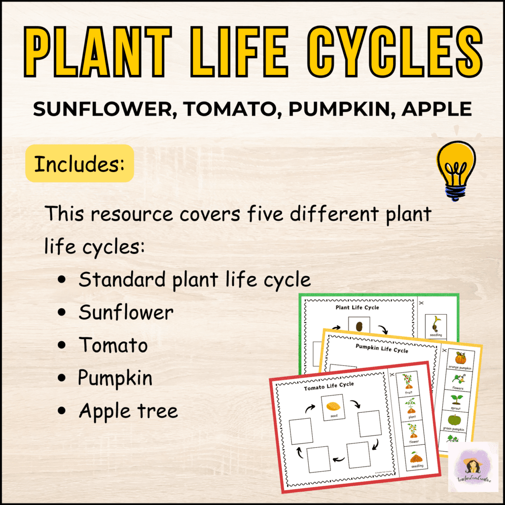 5 plant life cycles for kids- printable worksheets