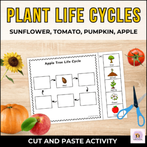 plant life cycles science worksheets for kids