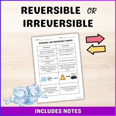 Thumbnail-Reversible-or-Irreversible-2